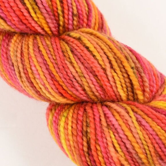 Koigu PPPM Yarn 100% Merino Wool Hand Painted P611 - Picture 2 of 4